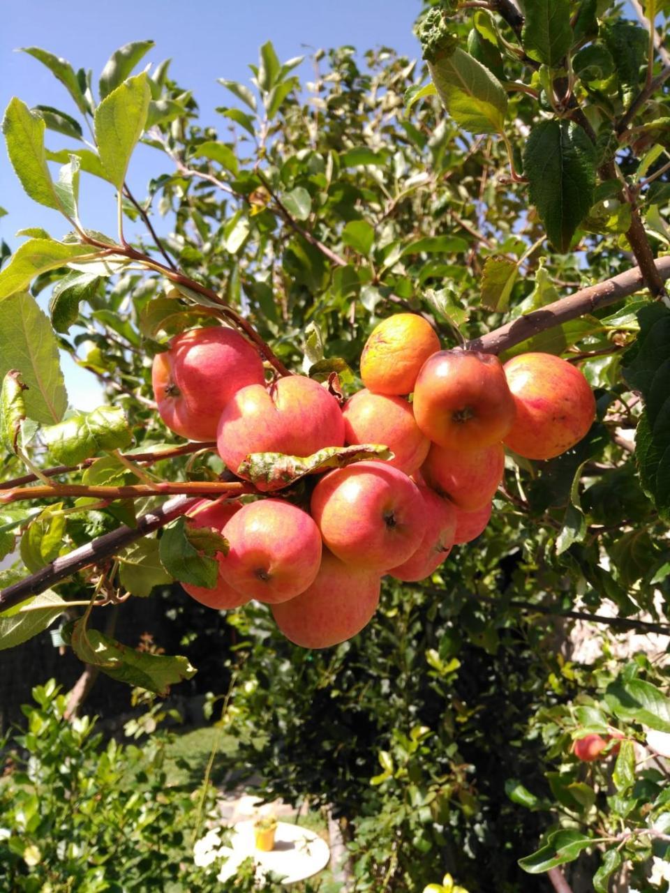הוילה בנאוקאס Casa Nani מראה חיצוני תמונה