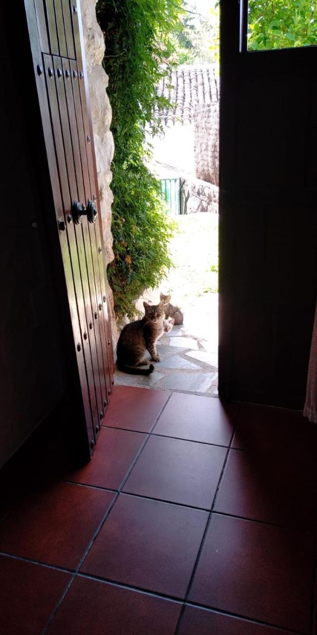 הוילה בנאוקאס Casa Nani מראה חיצוני תמונה